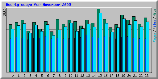 Hourly usage for November 2025